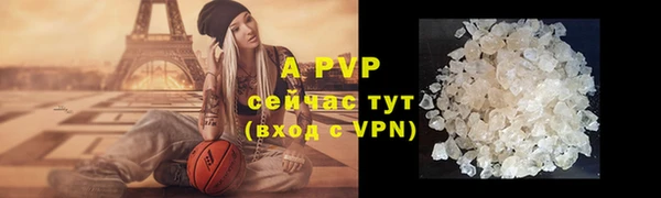 дмт Новозыбков