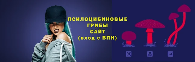 марки nbome Новодвинск