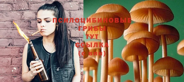 дмт Новозыбков