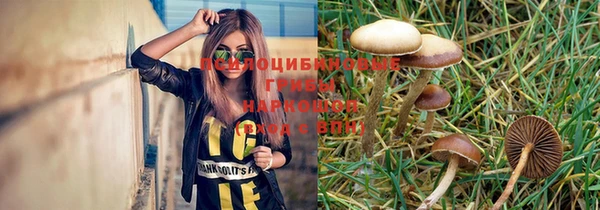 прущие грибы Нязепетровск