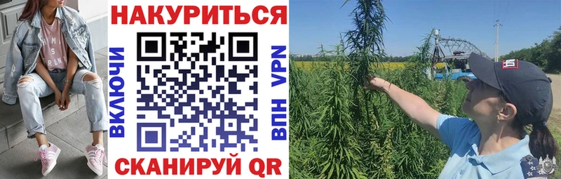 хочу наркоту  Крым  Бошки Шишки планчик 